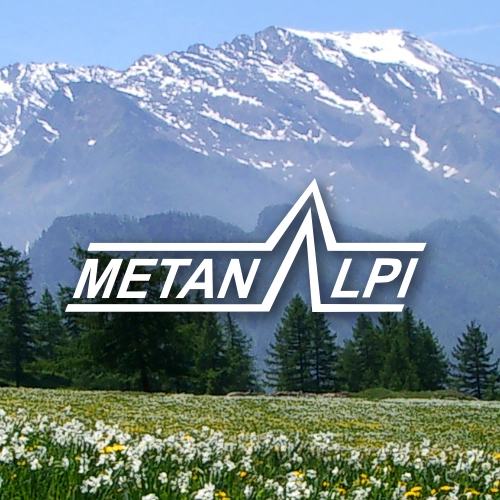 metanalpi